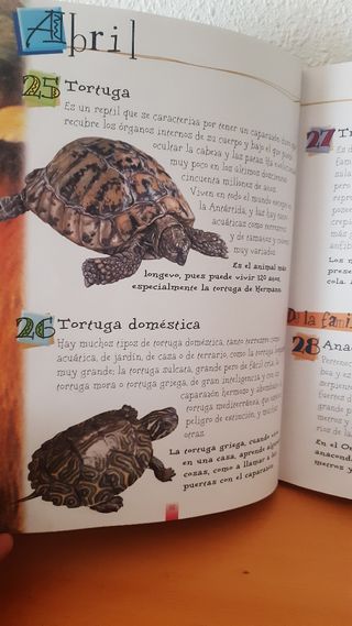 Lee cada día 365 historias de animales