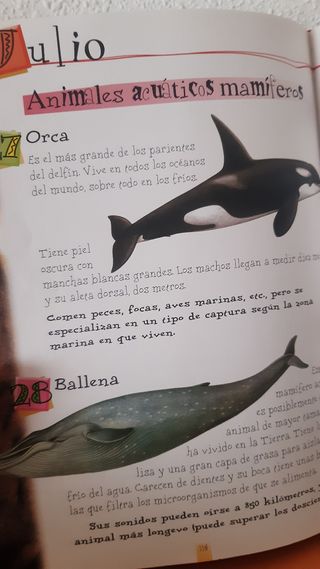 Lee cada día 365 historias de animales