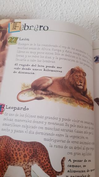 Lee cada día 365 historias de animales