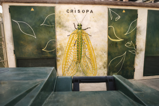 Rotulo empapelado iluminación led GRAFITI deco art