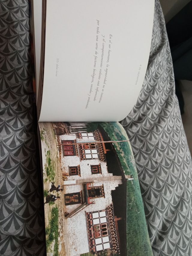 Libro Ofrendas 365 pensamientos de maestros budist