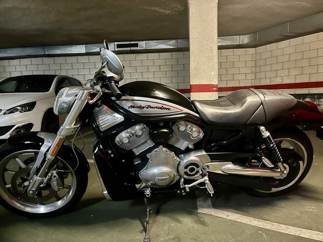 Venta Harley Davidson VRSC Street Rod