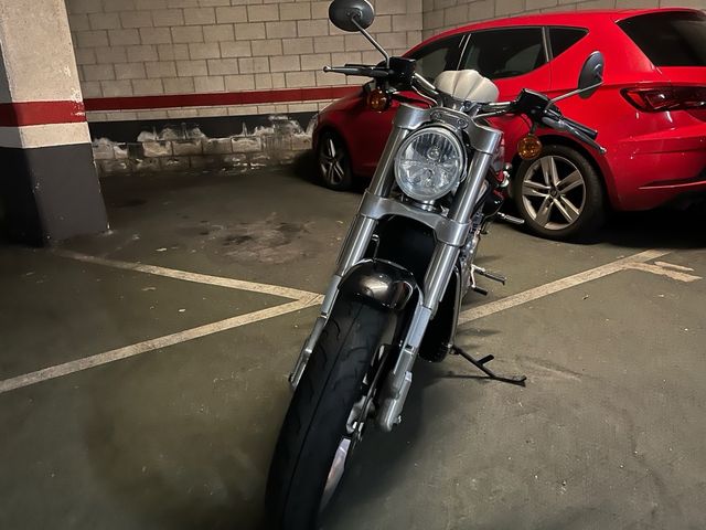 Venta Harley Davidson VRSC Street Rod