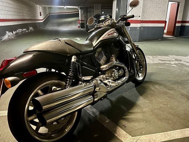 Venta Harley Davidson VRSC Street Rod