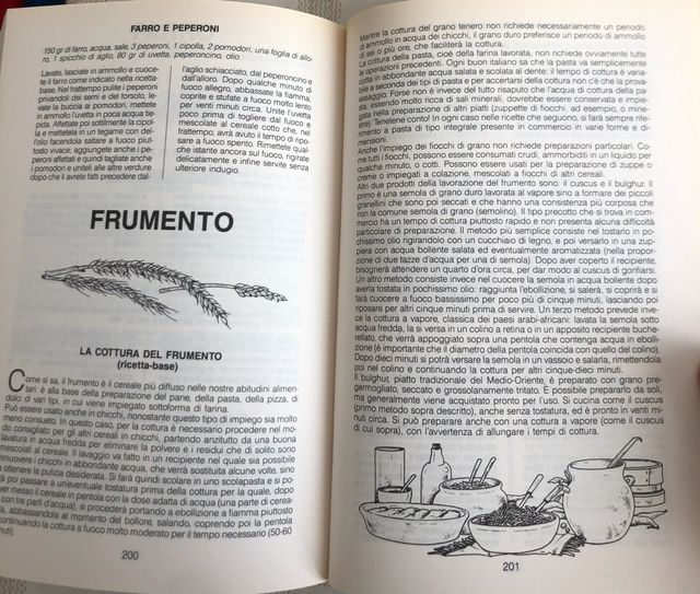 Il cucchiaio verde. La bibbia della cucina vegetar