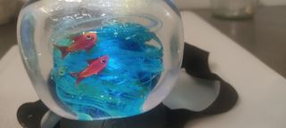 Murano vetro sommerso acquario 