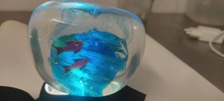 Murano vetro sommerso acquario 