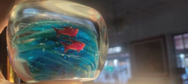 Murano vetro sommerso acquario