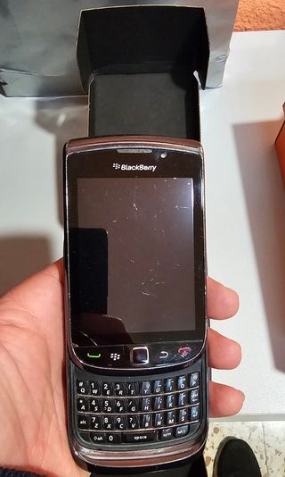 Blackberry Torch