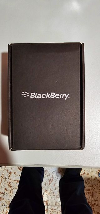 Blackberry Torch