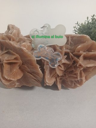 Portachiavi e ciondoli per cani
