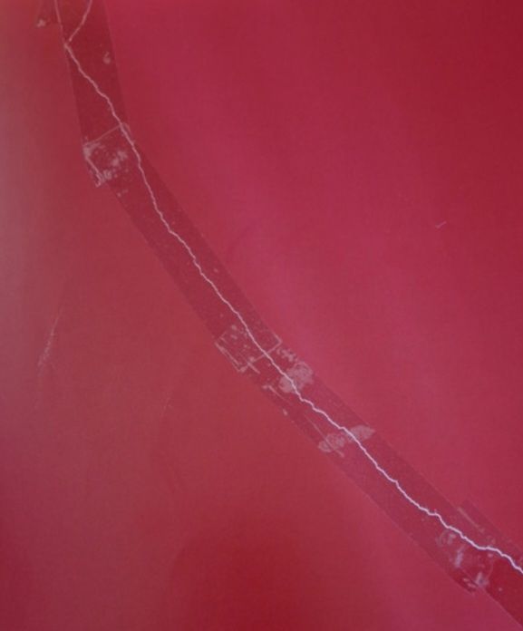 Libri bing per bambini