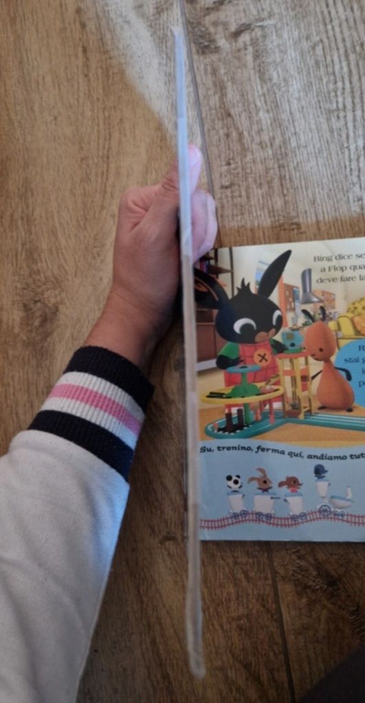 Libri bing per bambini