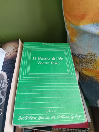 A esmorga (Literatura)