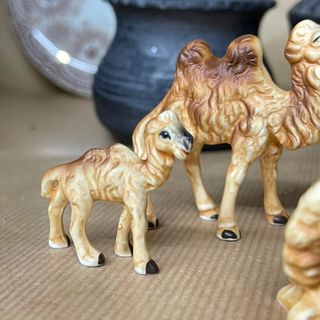 Familia camellos. Bone China Japan