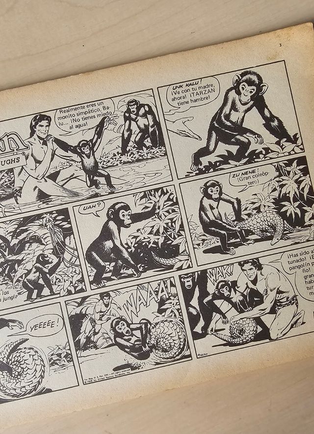 Cómic Tarzán el rey de la jungla 