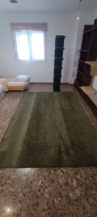 Alfombra y estantería