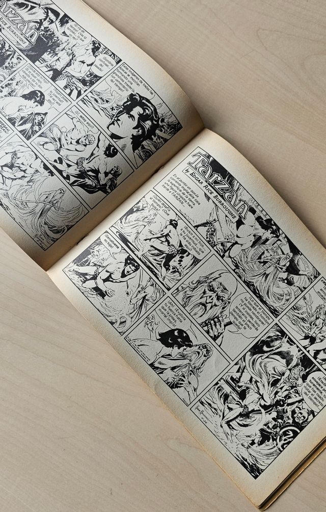 Cómic Tarzán el rey de la jungla 