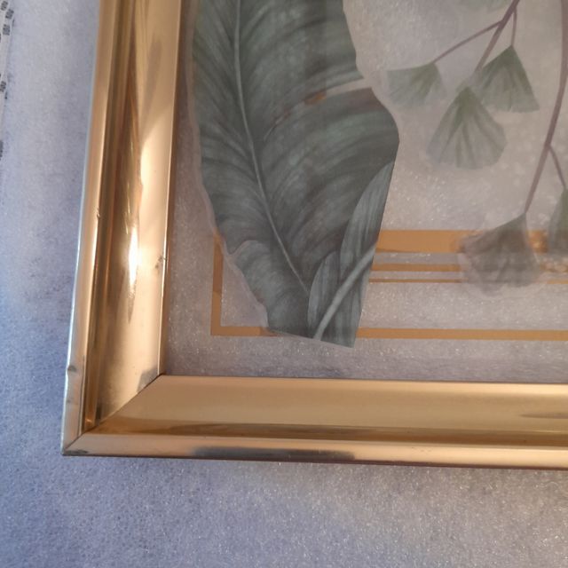 Quadro con piante tropicali