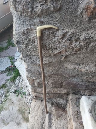 Bastón de madera y mango de plástico 