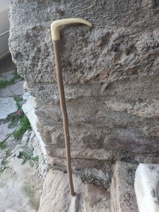 Bastón de madera y mango de plástico 
