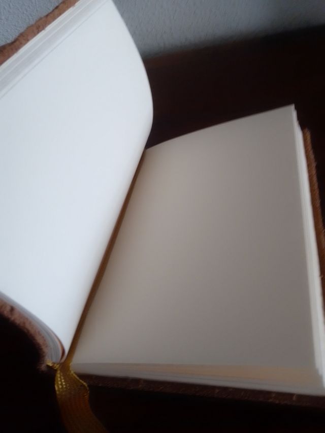 Agenda Adolfo Domínguez