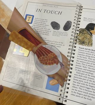 Discovery Plus: Bodyworks