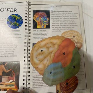 Discovery Plus: Bodyworks