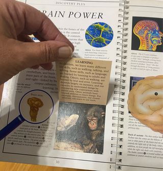 Discovery Plus: Bodyworks