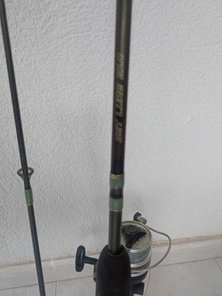 Caña pescar spinning con carrete daiwa