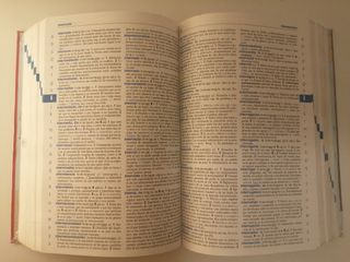 Diccionario SM Avanzado Primaria