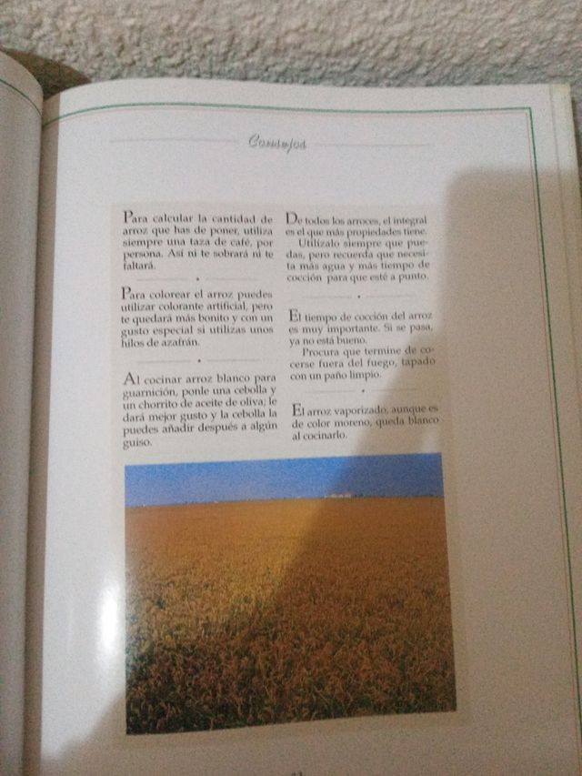 La cocina fácil de Karlos Arguiñano. Arroces y pas