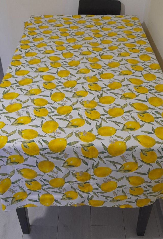 Tovaglia rettangolare 240×140