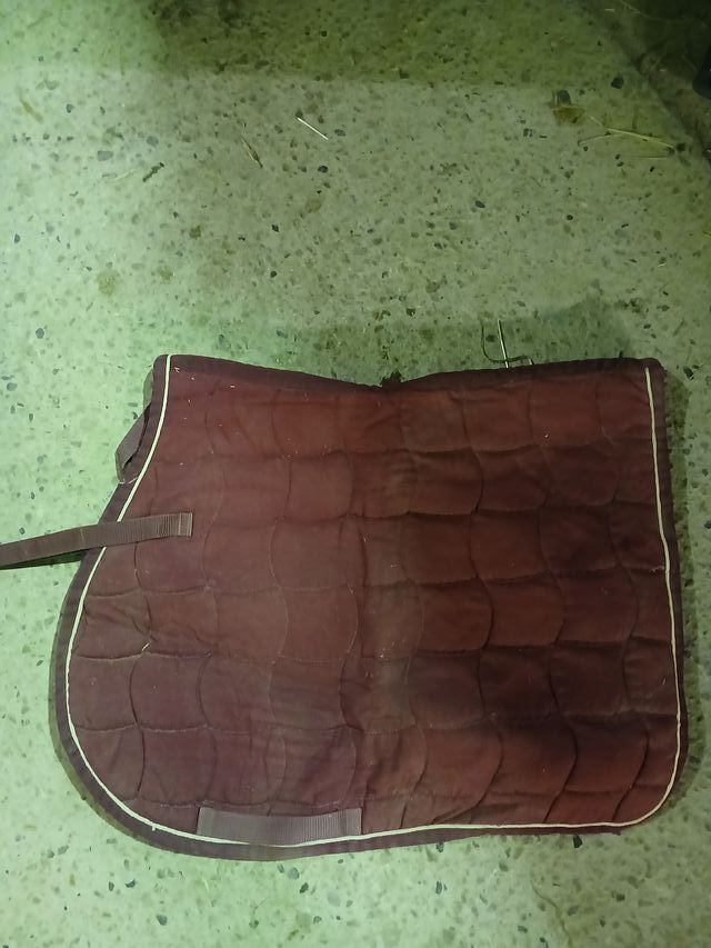 Sottosella equitazione amaranto