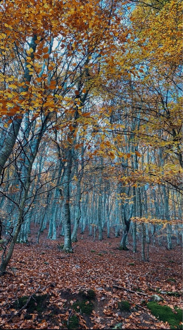 Venta plazas de garaje
