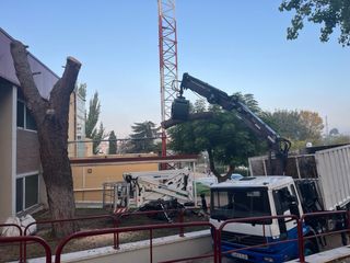 Retirada restos de poda