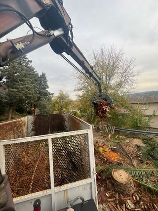 Retirada restos de poda