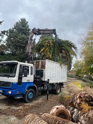 Retirada restos de poda