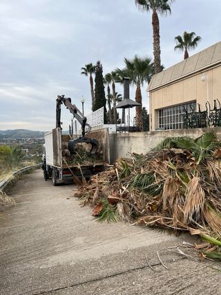 Retirada restos de poda