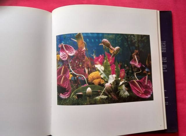 Contemporary photography and the garden