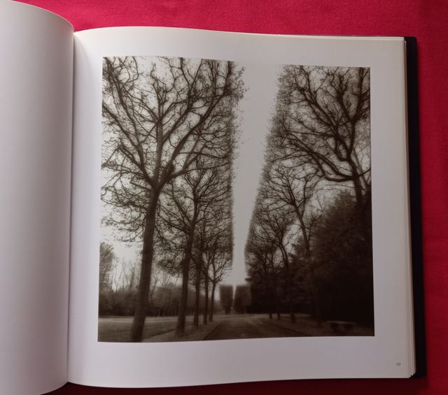 Contemporary photography and the garden