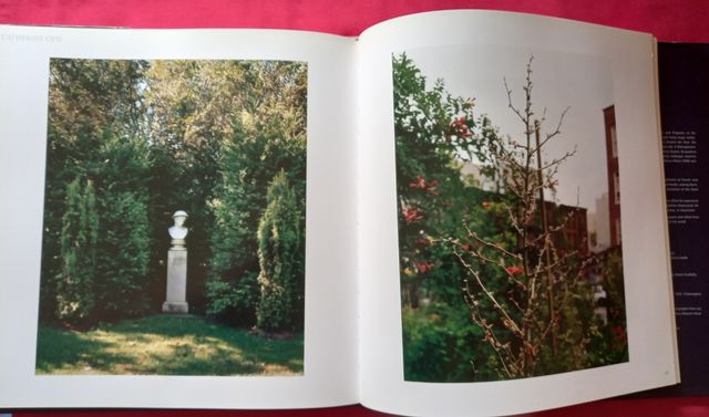 Contemporary photography and the garden