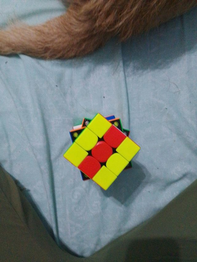 Cubo de rubik GAN