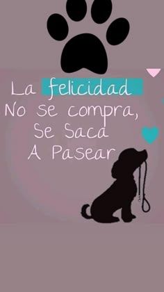 Paseo perro/as .Zona Montequinto.