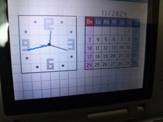 NINTENDO DS