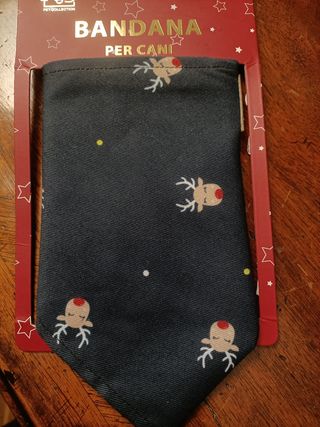 Accessori cani 