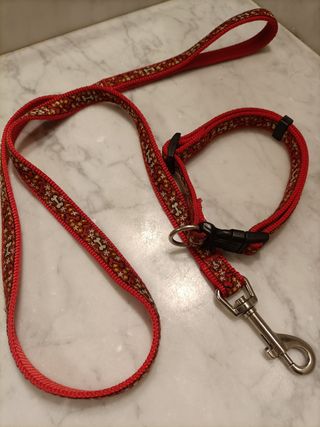 Guinzaglio 