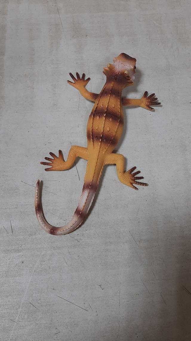 Lagarto