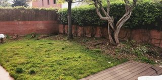 poda de árboles limpieza de parcelas