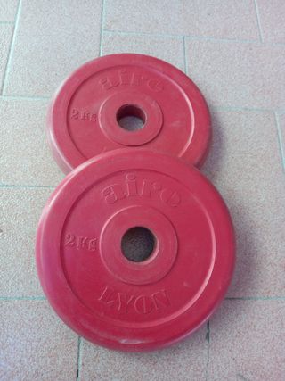 2 dischi palestra gommati 